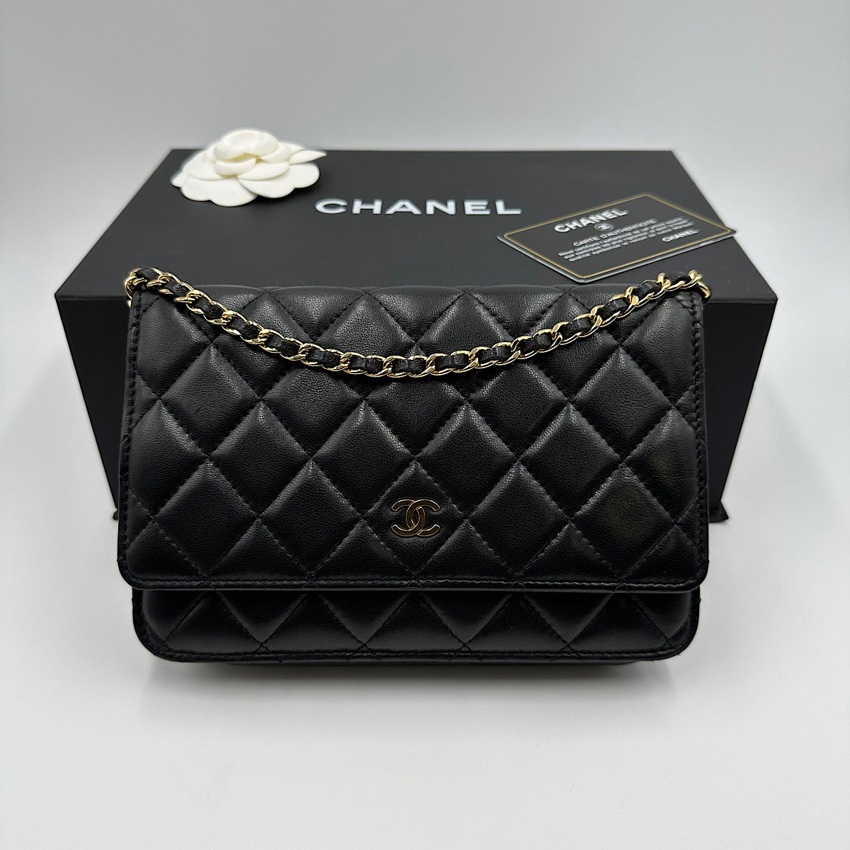 Wallet on chain classique agneau noir et or