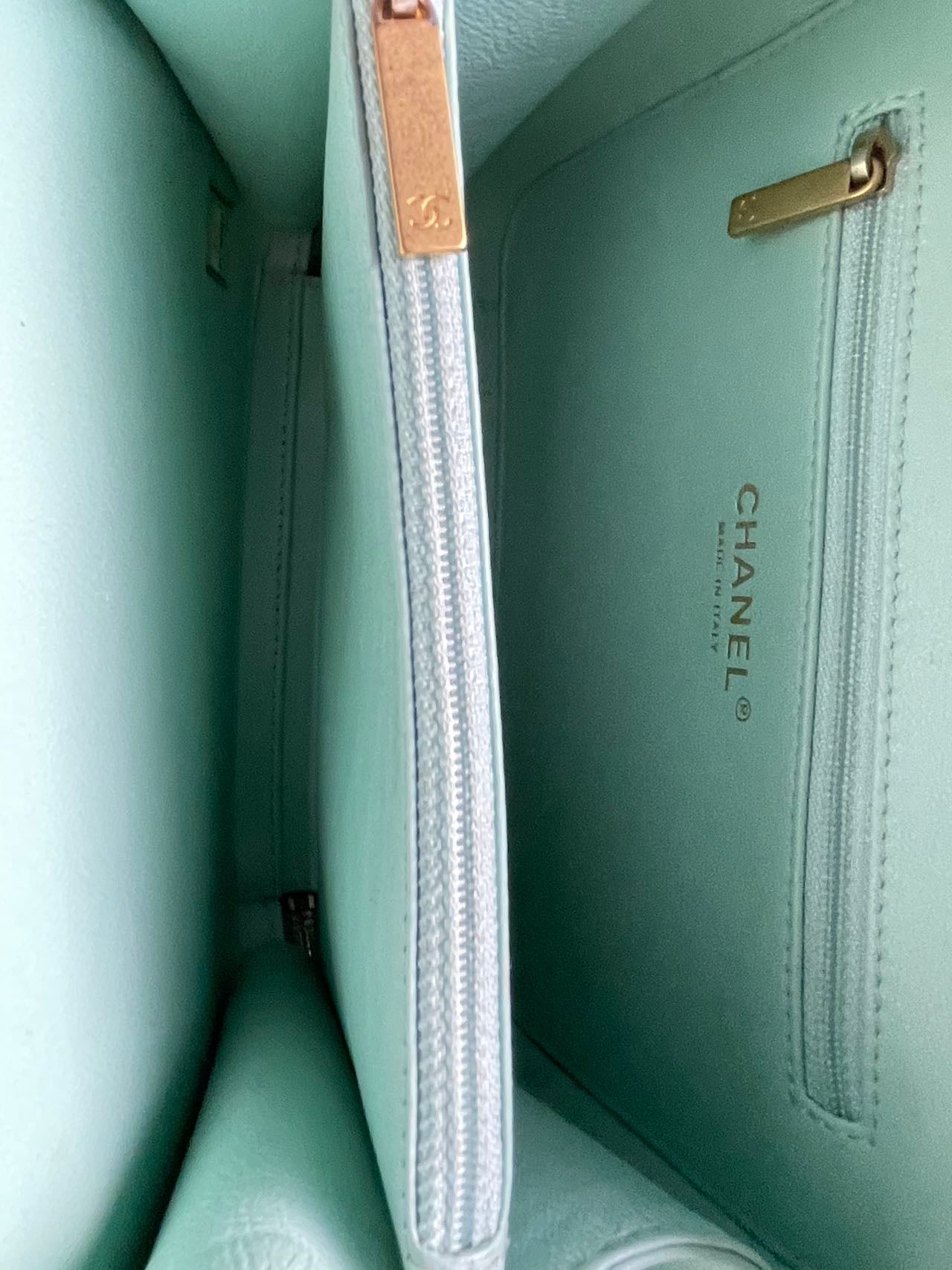 Chanel Vanity Case Bag in Caviar Leather Brushed Gold Hardware Mint Green Medium