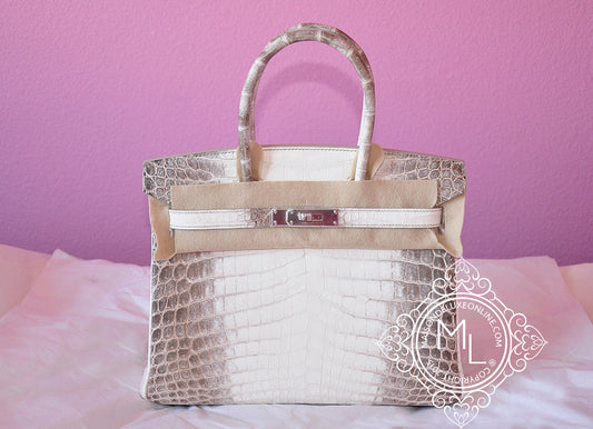 Hermes Blanc Himalayan Himalaya Birkin 30 White Crocodile