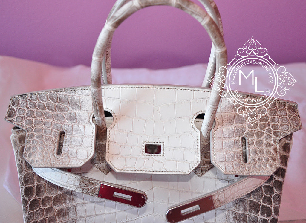 Hermes Blanc Himalayan Himalaya Birkin 30 White Crocodile