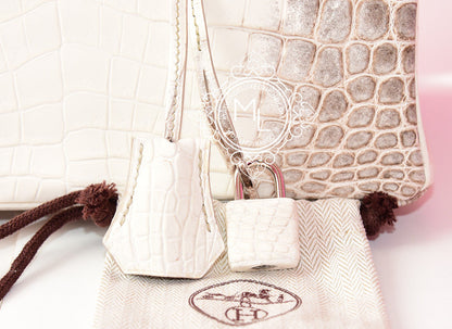 Hermes Blanc Himalayan Himalaya Birkin 25 White Crocodile