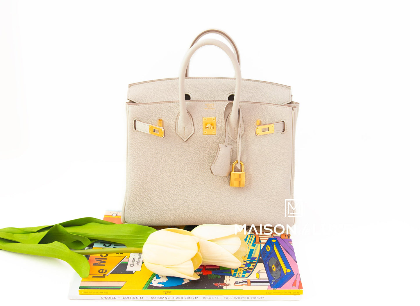 Hermes Birkin 25 Beton Togo Gold Hardware