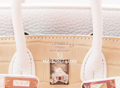 Hermes Neige Faubourg Birkin 20 White Matte Alligator Handbag