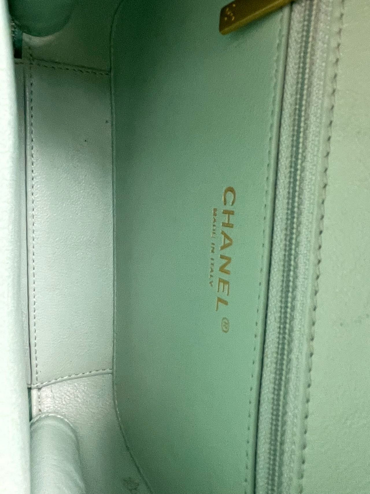 Chanel Vanity Case Bag in Caviar Leather Brushed Gold Hardware Mint Green Medium